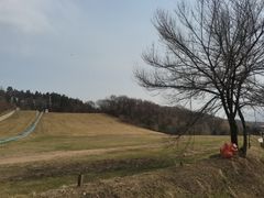-吉林市朱雀山国家森林公园