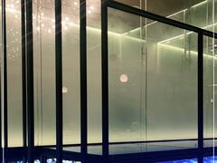 -CHIC1699远洋私厨