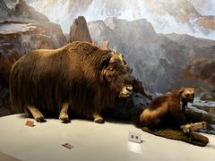 -陕西自然博物馆