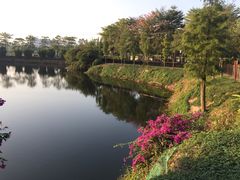 -王借岗森林公园