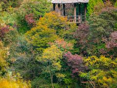 -九如山休闲旅游度假区