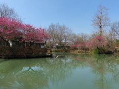 -西溪国家湿地公园