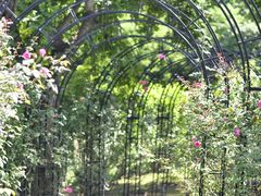 -福建鲤鱼洲酒店