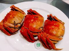大闸蟹-徐记海鲜(汉城湖|太奥店)