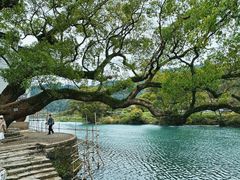 -上坦村