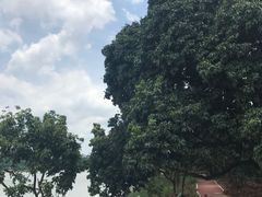 -鹤之洲湿地公园