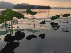 -东湖落雁景区