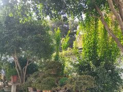 -凤凰寺