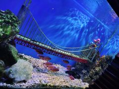 -太平洋海底世界