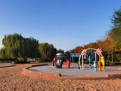 -大兴滨河森林公园