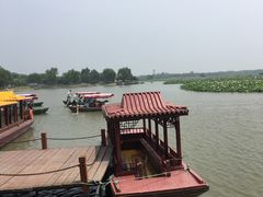 -白洋淀景区