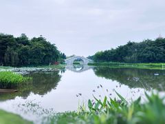 -映月湖公园