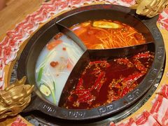 -蜀大侠火锅(森兰花园城店)