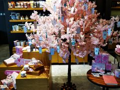 -星巴克臻选(深圳罗湖万象城店)