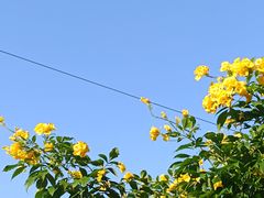 -晓港公园