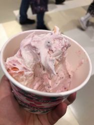 -朵莉丝希腊冻酸奶