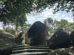 -火炉山森林公园