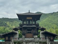 -大唐贡茶院