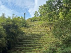 -东莞市大岭山森林公园