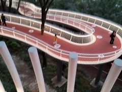 -金鸡山公园