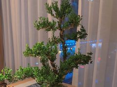 -守田肩颈·推拿SPA(颐豪旗舰店)