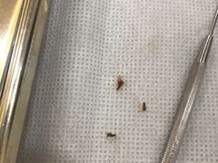-维乐口腔·埃齐门诊(静安店)