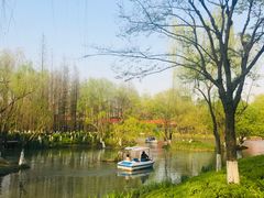 -青枫公园