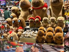 -高新活力汇Vitality