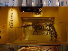 -国家自然博物馆