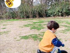 -八爪矩阵极限运动馆·儿童平衡车·感统训练(南海子公园校区)