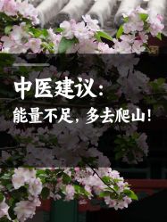 -雅曼妮spa美容养生