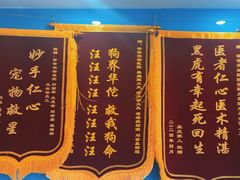 -乖乖宠物医院·猫科·骨科·24小时(云岗分院)