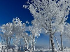 -中旅松花湖滑雪场