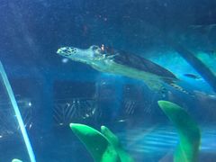 -北国之春国宴(乌兰察布店)