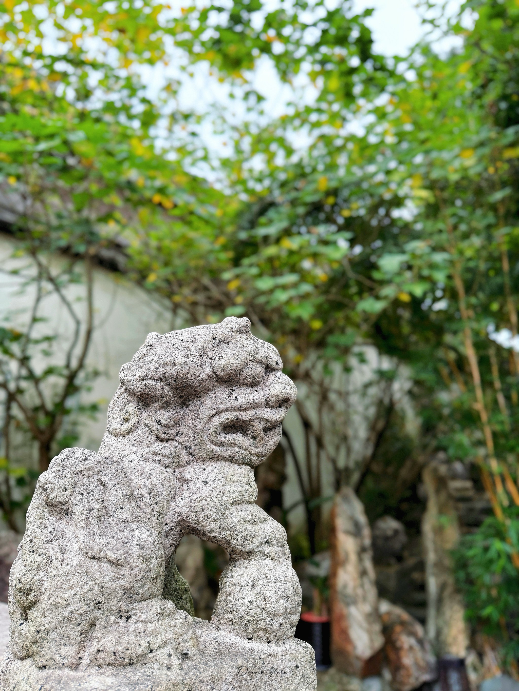 朱紫坊内的中式园林