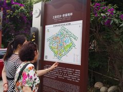 -三圣花乡旅游区