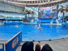 -海合安成都极地海洋公园