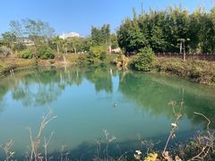 -广州从化都喜泰丽度假酒店温泉