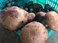 -野菌王牦牛肉汤锅