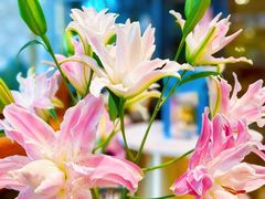 -德米火锅(深圳湾1号旗舰店)