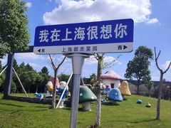 -上海都市菜园