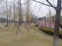 -府河摄影公园