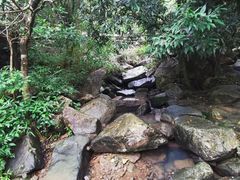 -四会奇石河风景区