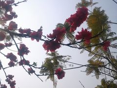 -重庆彩云湖湿地公园