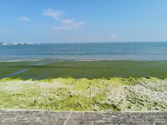 -青岛海滨风景区