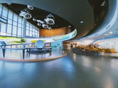 -漩门湾国家湿地公园