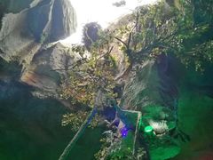 -游龙石文化科普馆