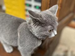 -富桂厨房