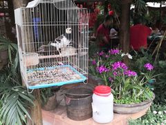 -园林美食城·本土农家菜(杨和镇店)