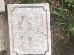 -梧桐山风景名胜区